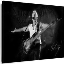BILDER Leinwand Sting Musiker