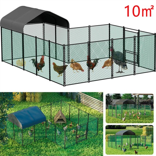Hühnerstall xxl - hühnerstall,
