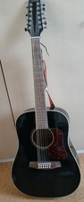 12-saitige Western  Gitarre mit Koffer