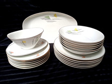 Speiseservice kpl. f. 6 Pers., 20 Teile, Arzberg 50er Jahre, Midcentury Stil