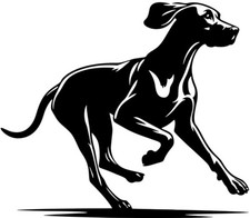 MAGYAR VIZSLA Aufkleber