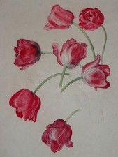 Rote Tulpen - Monogramm Hans Strohofer Aquarell-Zeichnung Botanik Blumen 1931