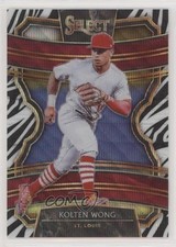 2020 Panini Select Zebra Prizm