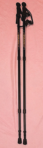 Nordic walking sporlastic - nordic, by