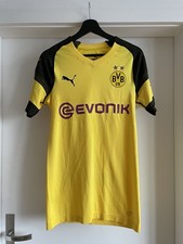 BVB Borussia Dortmund