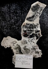 Selenit, Gips, Marienglas aus