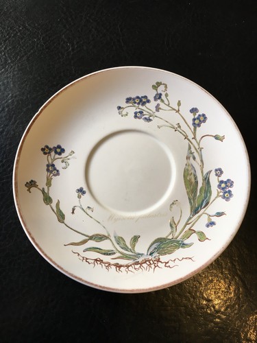 Villeroy boch botanica - villeroy,