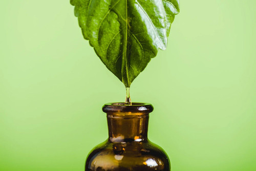 Herbalshire erkältung amp - herbalshire,