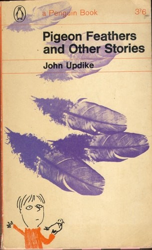 Pigeon feathers and other - pigeon,