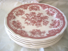 6 tolle Speise Teller groß