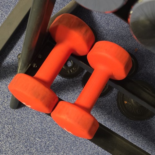 Abgymnic kurzhanteln festes - 2x,
