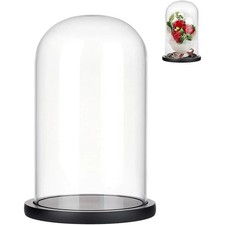 Transparente Glas-Vitrine mit