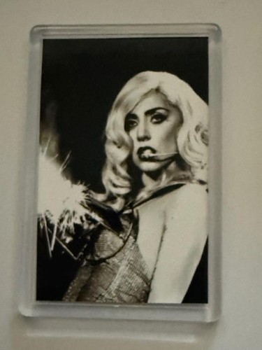 Lady gaga world renowned pop - lady,