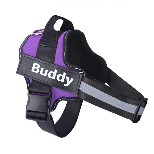 Personalisiertes hundegeschirr - personalisiertes,
