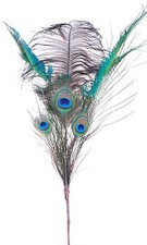 Peacock Ostrich Feather Pick