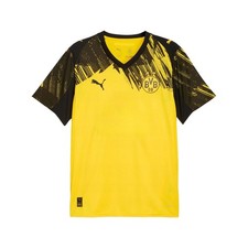 Puma Herrenkleidung T-shirt