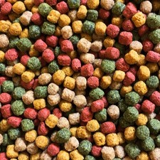 KOIFUTTER Mix 5 kg *4 Sorten