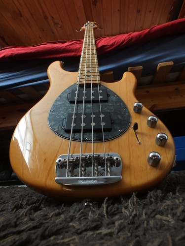 Musicman sterling string - musicman,
