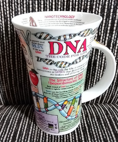 Dunoon kaffeetasse becher - dunoon, /