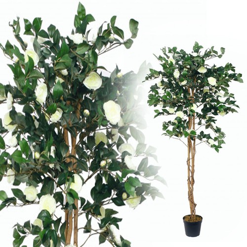 Künstliche camellia japonica - künstliche,