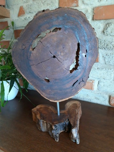 Teak wurzelholz skulptur - teak,
