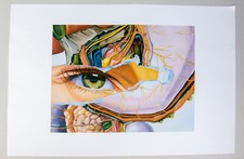 Fritz Köthe: Farboffsetdruck "Augenkörper" Pop-Art im Druck signiert 1999