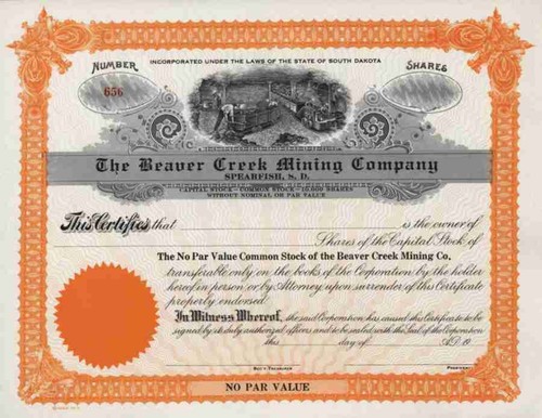 Beaver creek mining - beaver, company