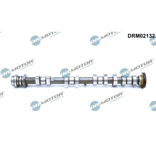Nockenwelle motor - 1x, dr.motor