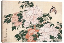 Leinwandbild Pfingstrosen und