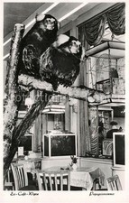 Frankfurt Main Cafe der