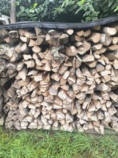 Brennholz Kaminholz Birke