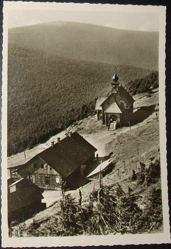 Heidebrünnel vřesová - heidebrünnel,
