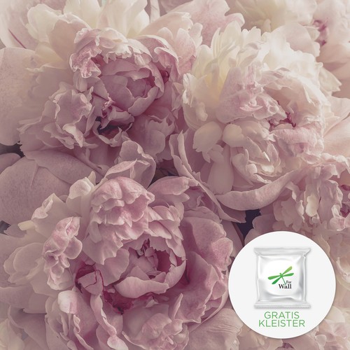 Tapete rosa blumen - rosa,