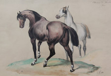 VICTOR ADAM Araber Pferde