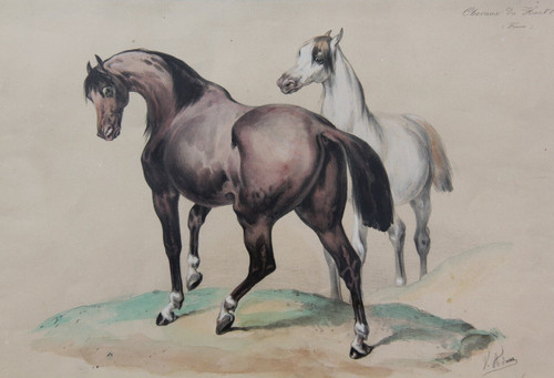 Victor adam araber - victor, pferde