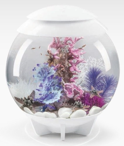 Oase biorb decor rezept 61100 - oase,