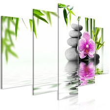Blumen orchidee spa - orchidee,