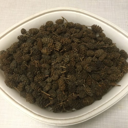 Erlenzapfen 1kg 2000 - 1kg, ~2000