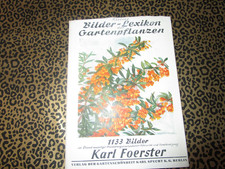 BUCH BILDER LEXIKON