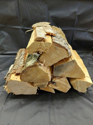 Kaminholz birke 10 - kaminholz-birke, (