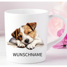 Jack Russell Terrier -