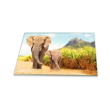 Herdabdeckplatte Ceran 1