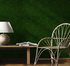 Vliestapete GZSZ Moos Floral