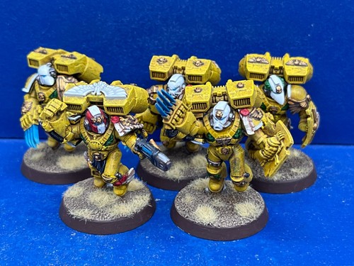 Vanguard veterans mit - mit, jump