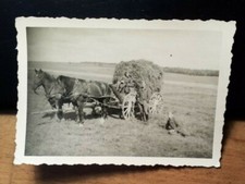 deutsche Soldaten in Uniform auf einer Wiese mit Heuwagen - Pferde Wagen / Foto