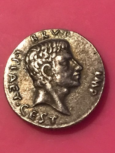 Roman brutus eid - roman, zwei