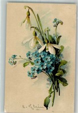 38165082 - Vergissmeinnicht