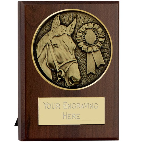 Pferd pony gymkhana - pferd,