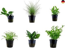 Tropica Nano Set mit 6