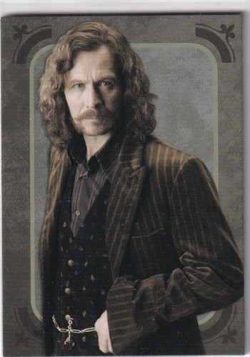 Panini harry potter - harry, evolution